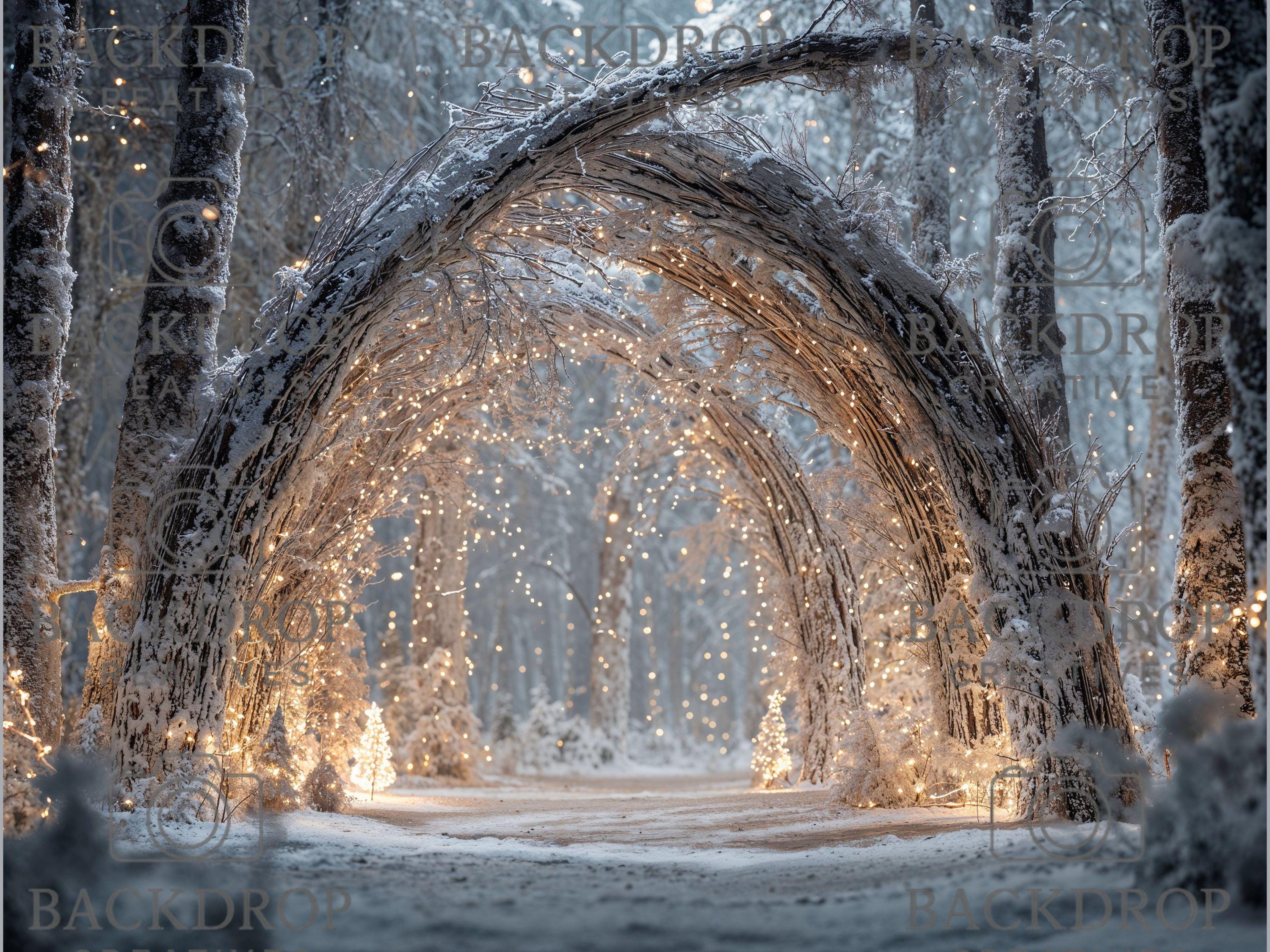 Realistic Snowy Winter Forest Set Digital Backdrops, Photoshop Background Bundle, Christmas Photo, Studio Overlays