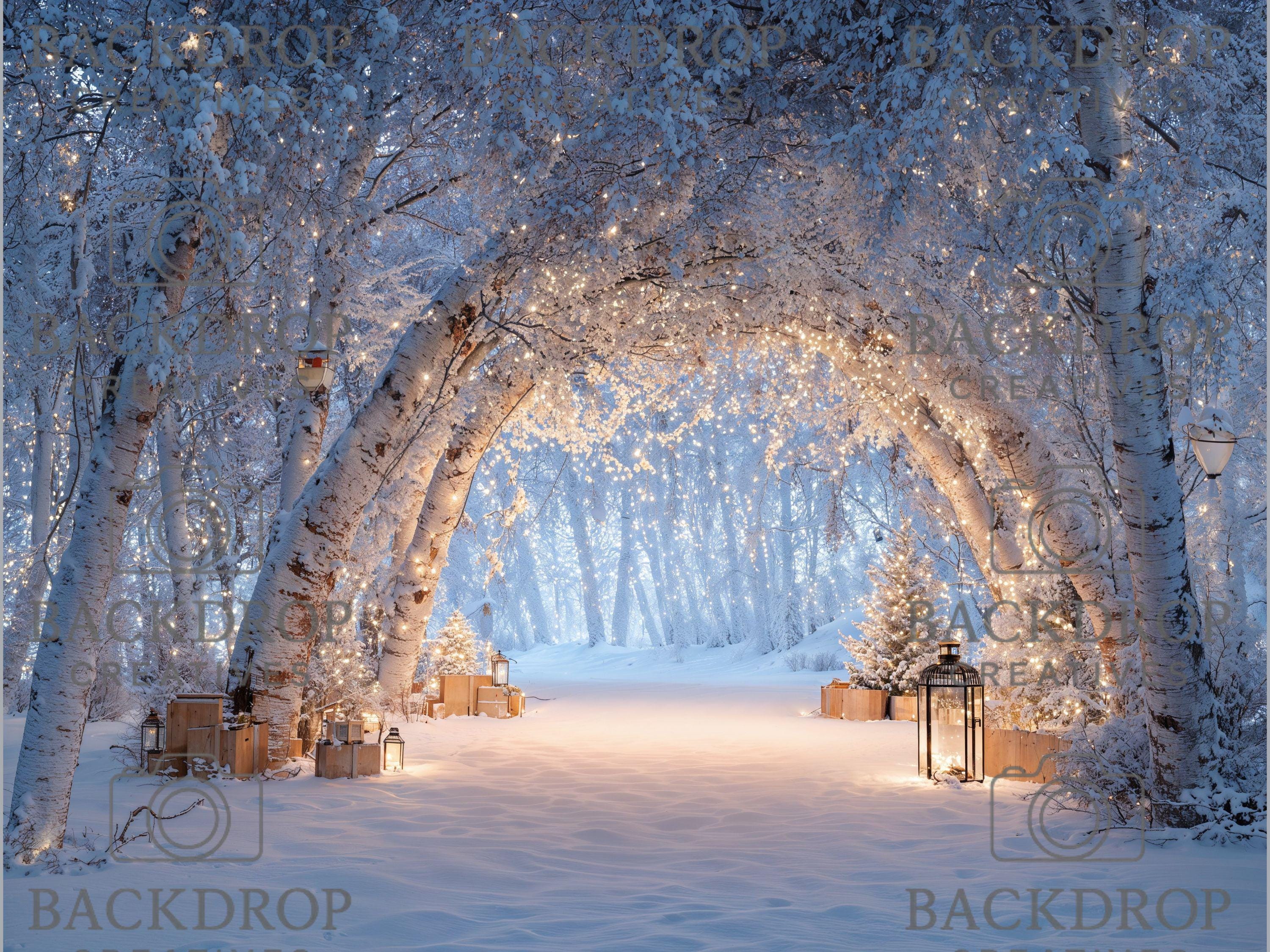 Realistic Snowy Winter Forest Set Digital Backdrops, Photoshop Background Bundle, Christmas Photo, Studio Overlays