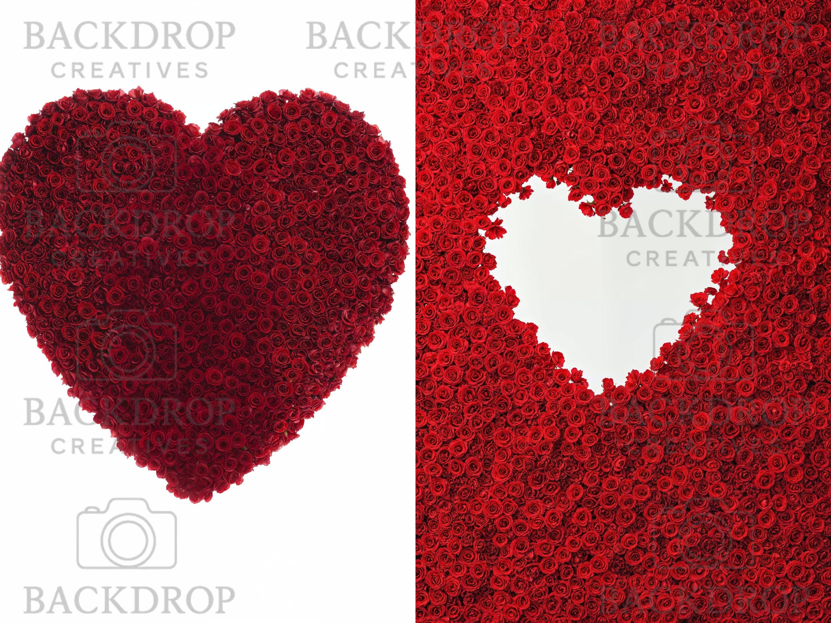 Valentines Day Rose Arch Digital Backdrop Set | Maternity, Baby Shower (Digital Download)