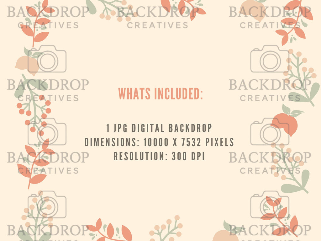 Baby Moon 7 Digital Backdrop, Newborn Background, Baby Backdrop, Newborn Backdrops, Photoshop Background