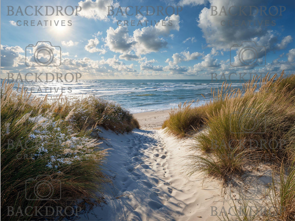 Sandy Beach Digital Backdrop | Water Backdrop | Maternity Backdrop | Beach Wedding Backdrop | Beach Backdrop (Digital Download)