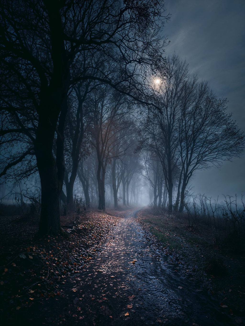 20 Creepy Halloween Photography Backdrops: Haunted & Festive (Digital Download 300 dpi, 10000x7500 px)