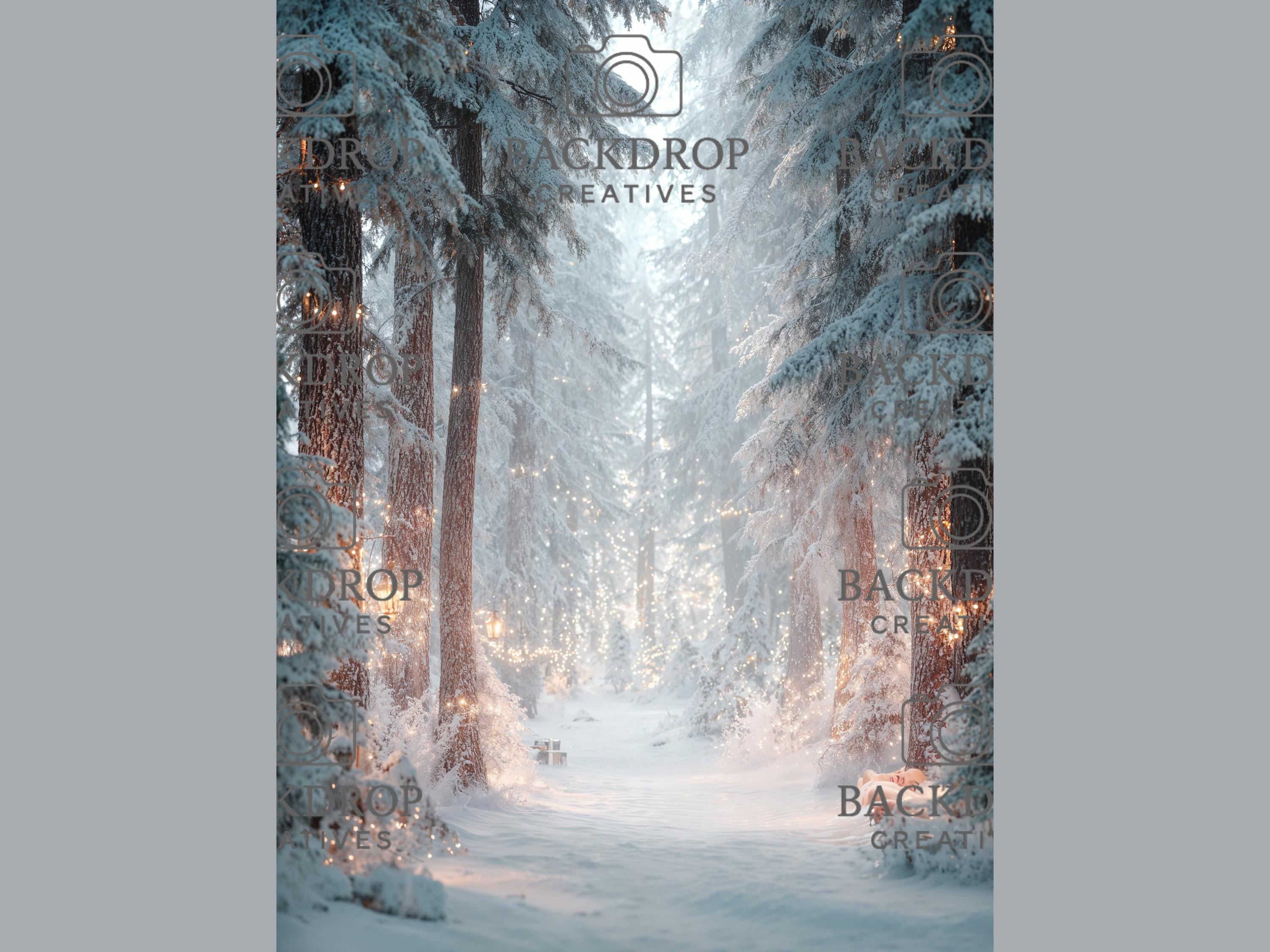 Snowy Winter Forest Set Digital Backdrops, Photoshop Background Bundle, Christmas Photo, Studio Overlays