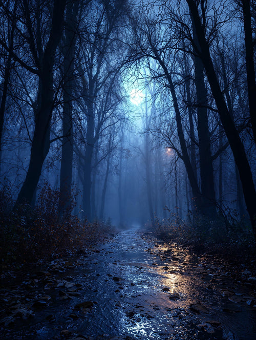 20 Creepy Halloween Photography Backdrops: Haunted & Festive (Digital Download 300 dpi, 10000x7500 px)