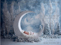 Baby Moon 8 Digital Backdrop, Newborn Background, Baby Backdrop, Newborn Backdrops, Photoshop Background