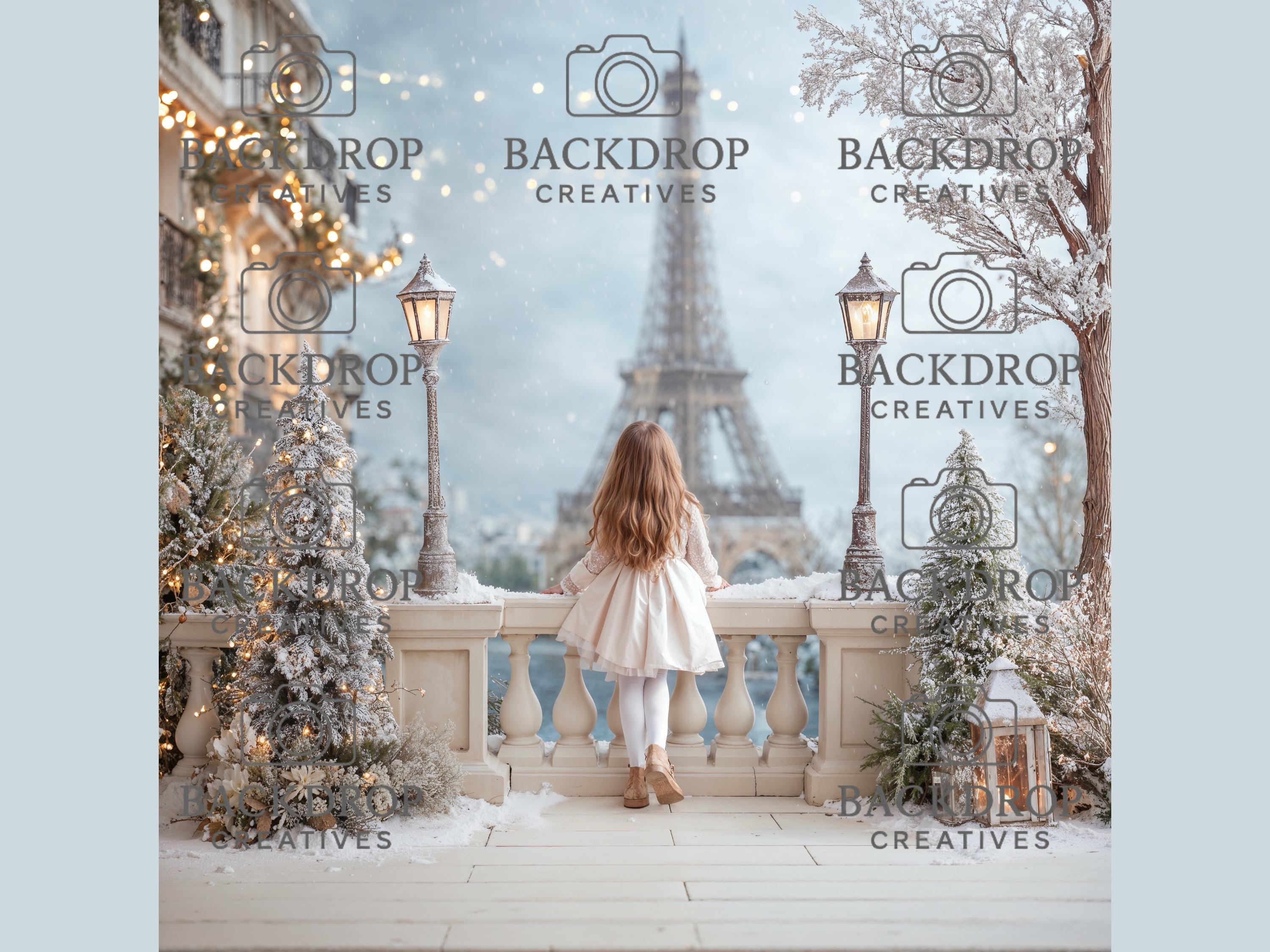 Winter in Paris Set Digital Backdrops, Maternity Backdrops, Eiffel Tower, Holiday Backgrounds, Studio Overlays