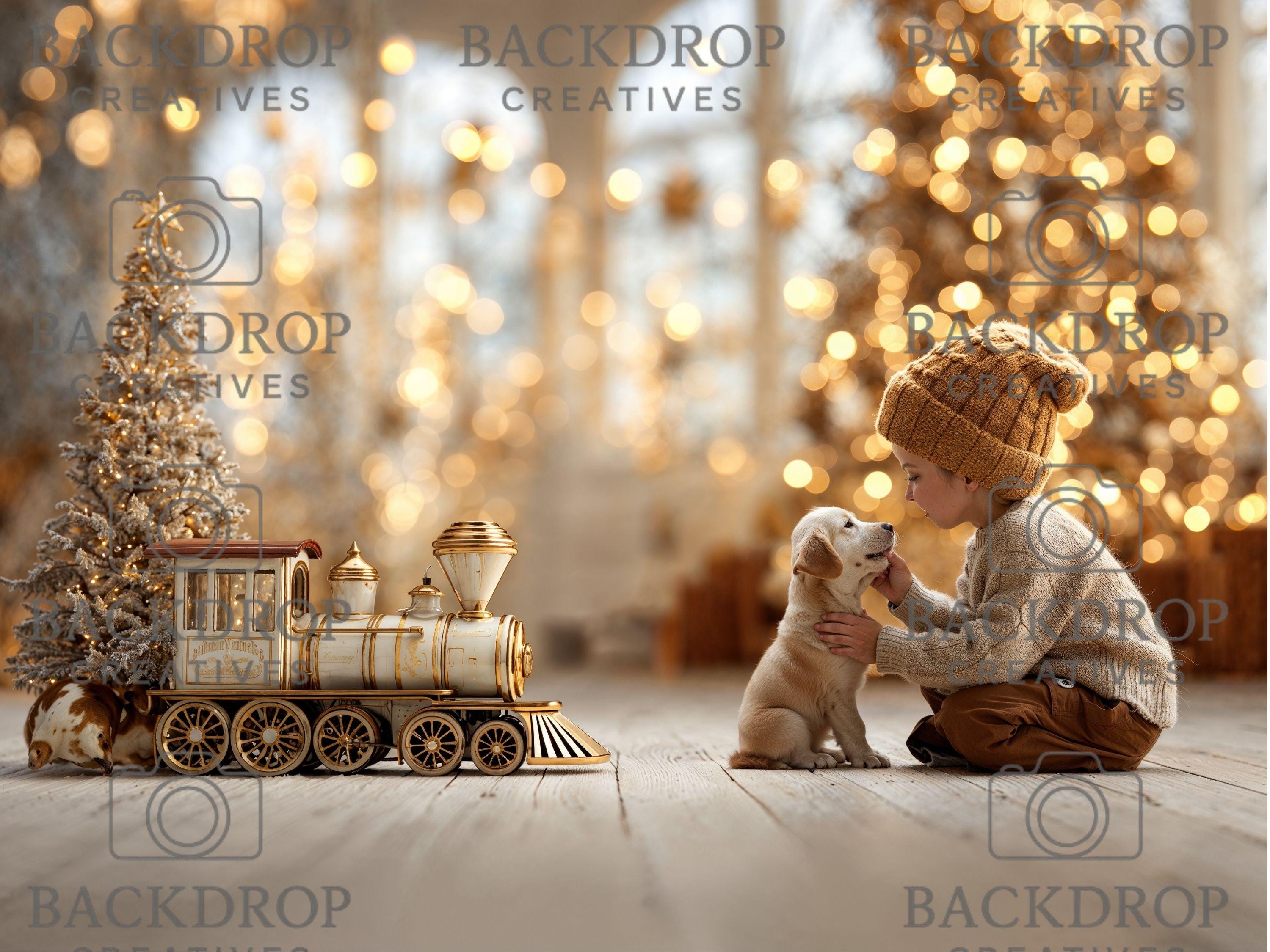 Gold Christmas Baby Toddler Set Digital Backdrops, Child Backdrops, Studio Overlays, Winter Bundle
