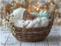 Boho Baby Basket Flower Digital Backdrop, Newborn Overlay Props, Newborn Backdrops, Photoshop Overlays, Floral Backgrounds