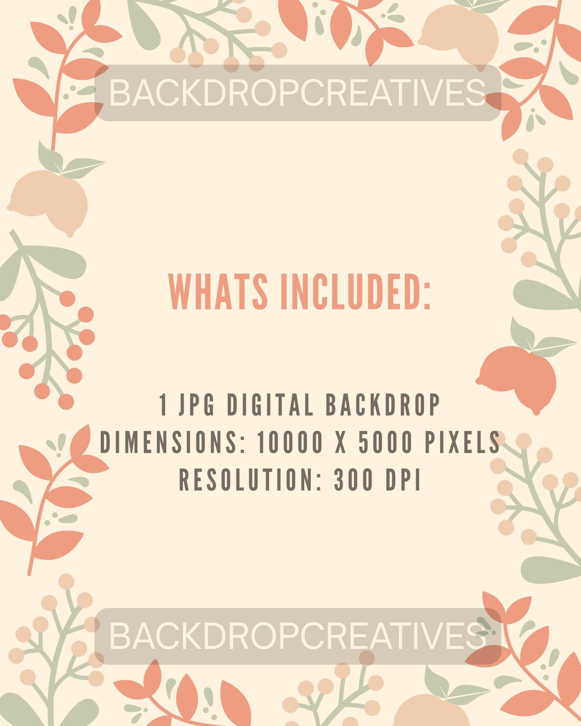 Winter Wonderland Backdrop