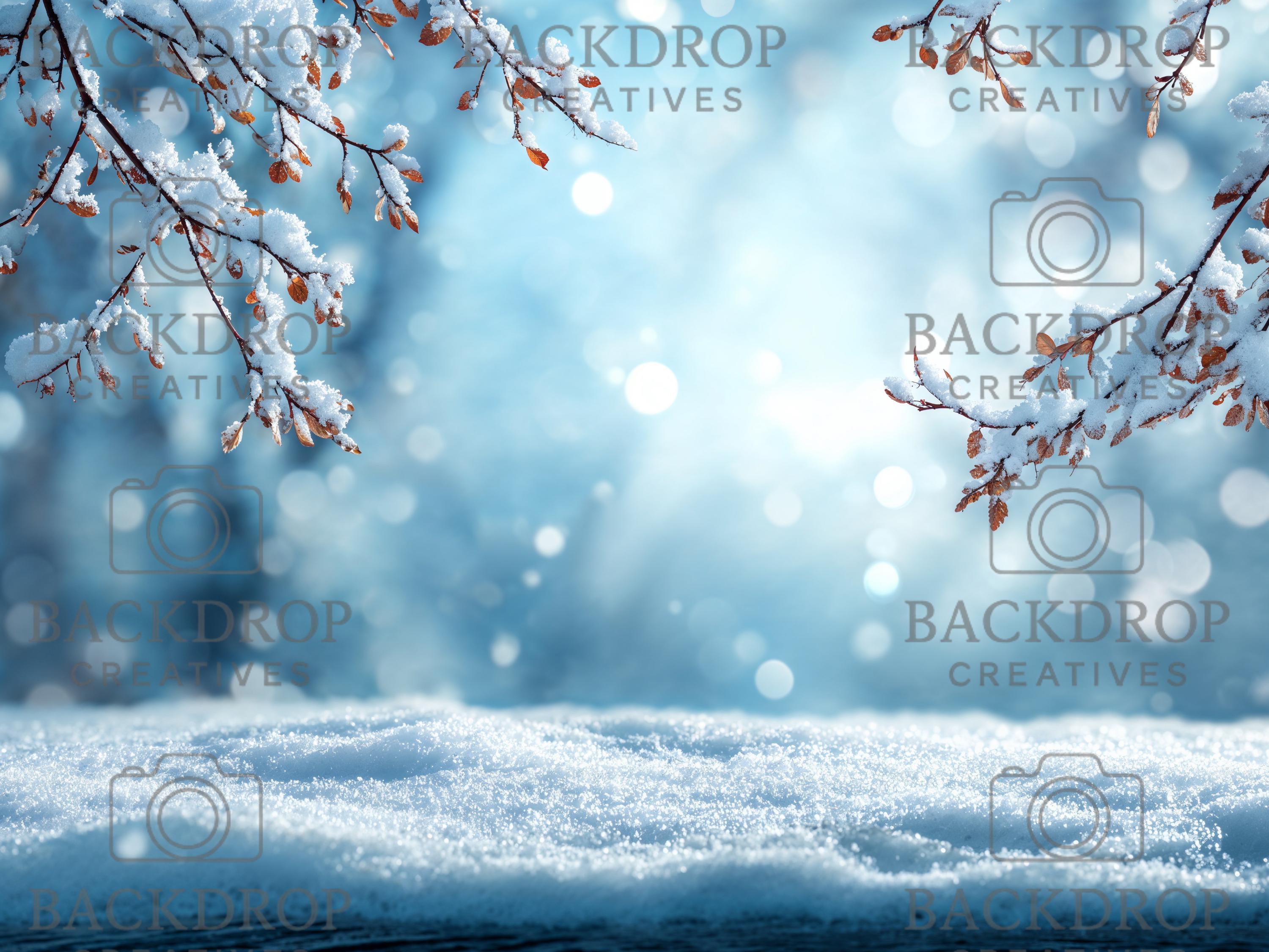Winter Snowy Baby Backdrop