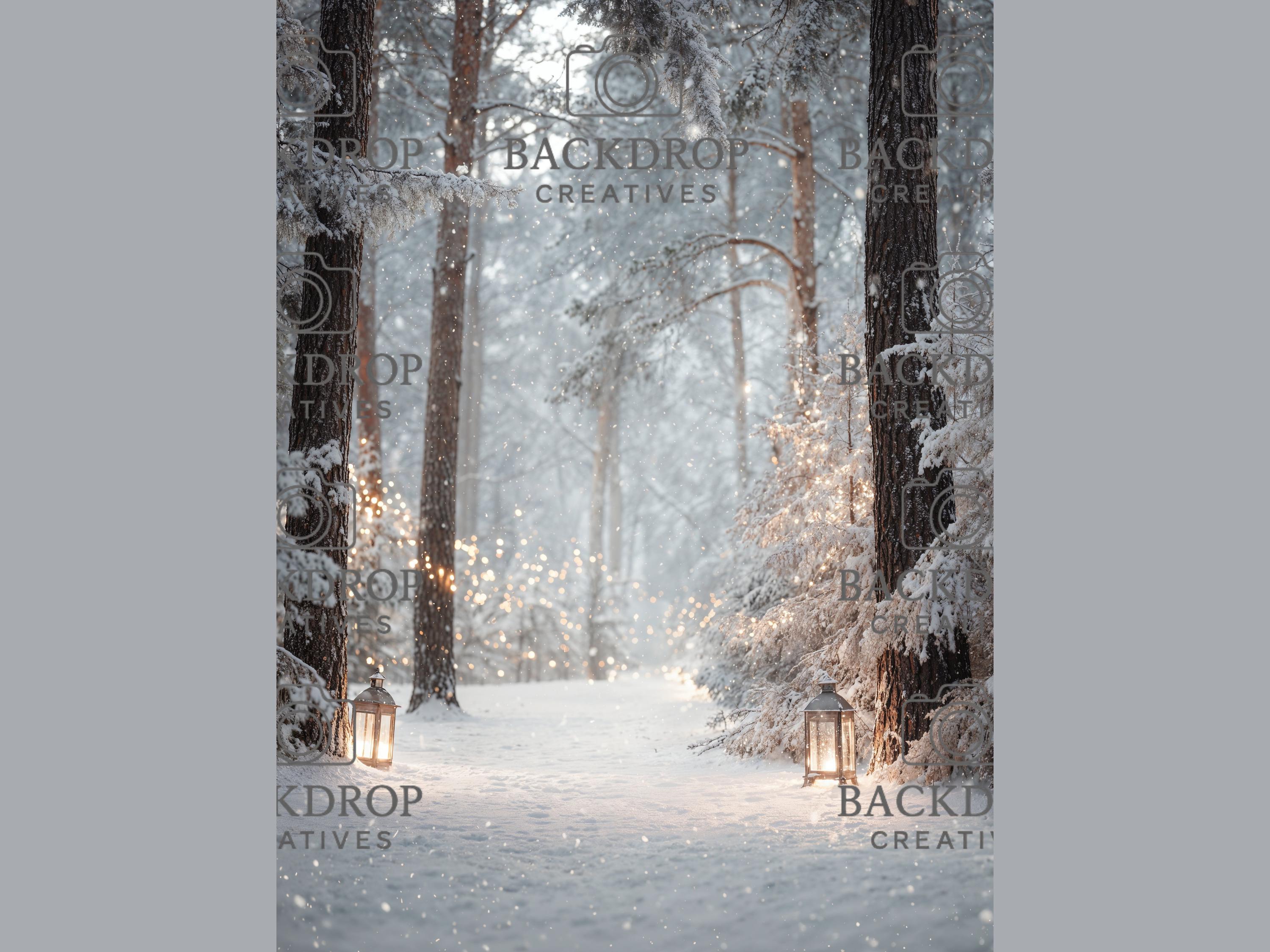 Snowy Winter Forest Set Digital Backdrops, Photoshop Background Bundle, Christmas Photo, Studio Overlays