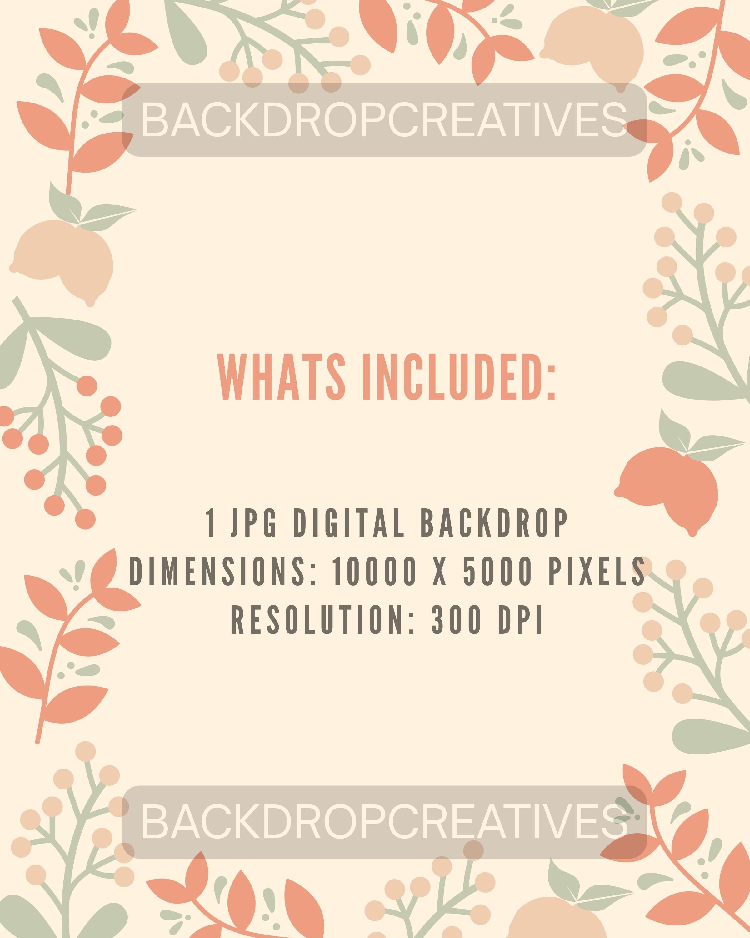 Winter Wonderland Backdrop | Snowman Backdrop | Newborn Baby Photography | Holiday Photo Booth Christmas Backdrop (Digital Download)