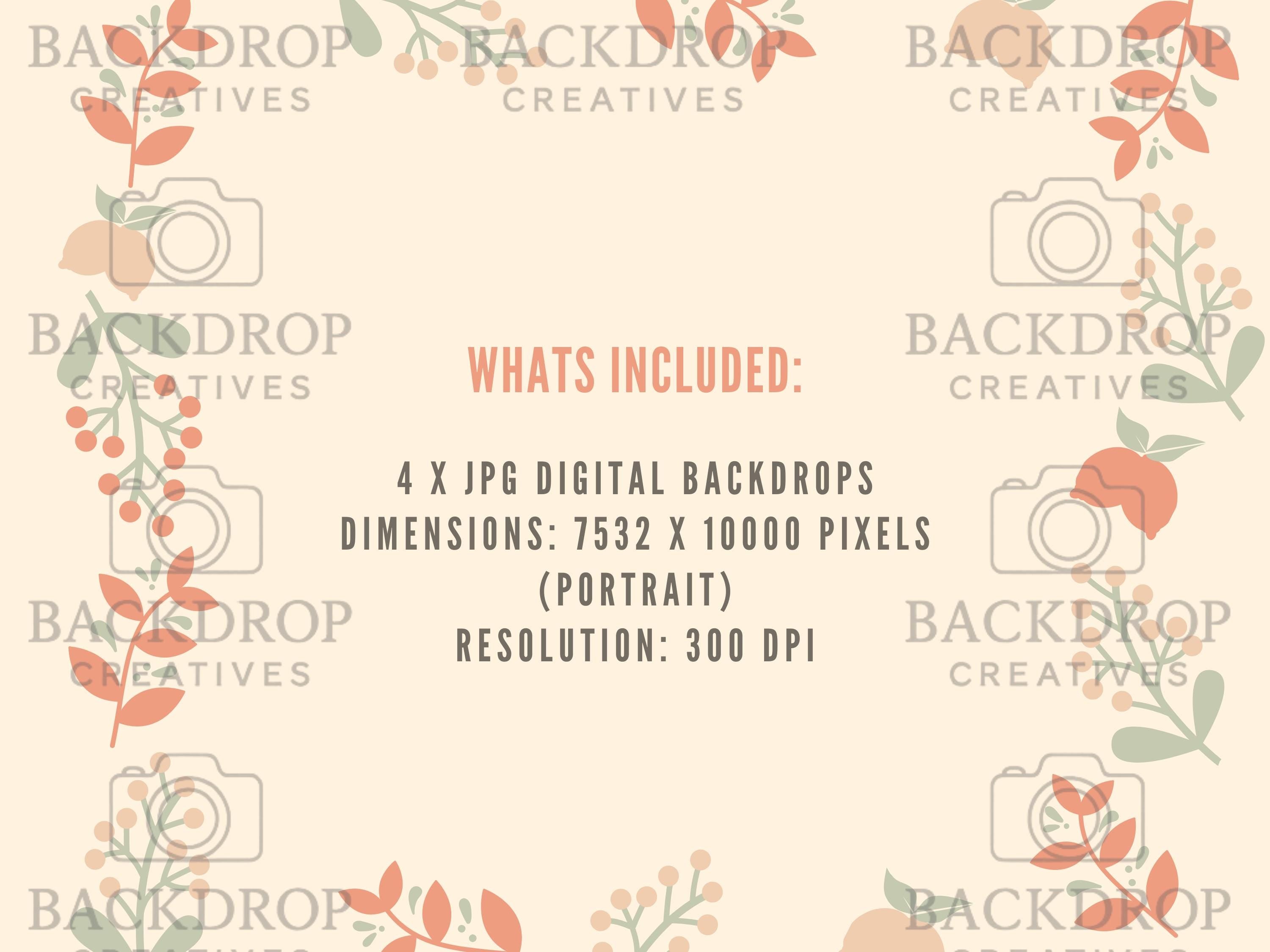 Valentines Day Rose Arch Digital Backdrop Set | Maternity, Baby Shower (Digital Download)