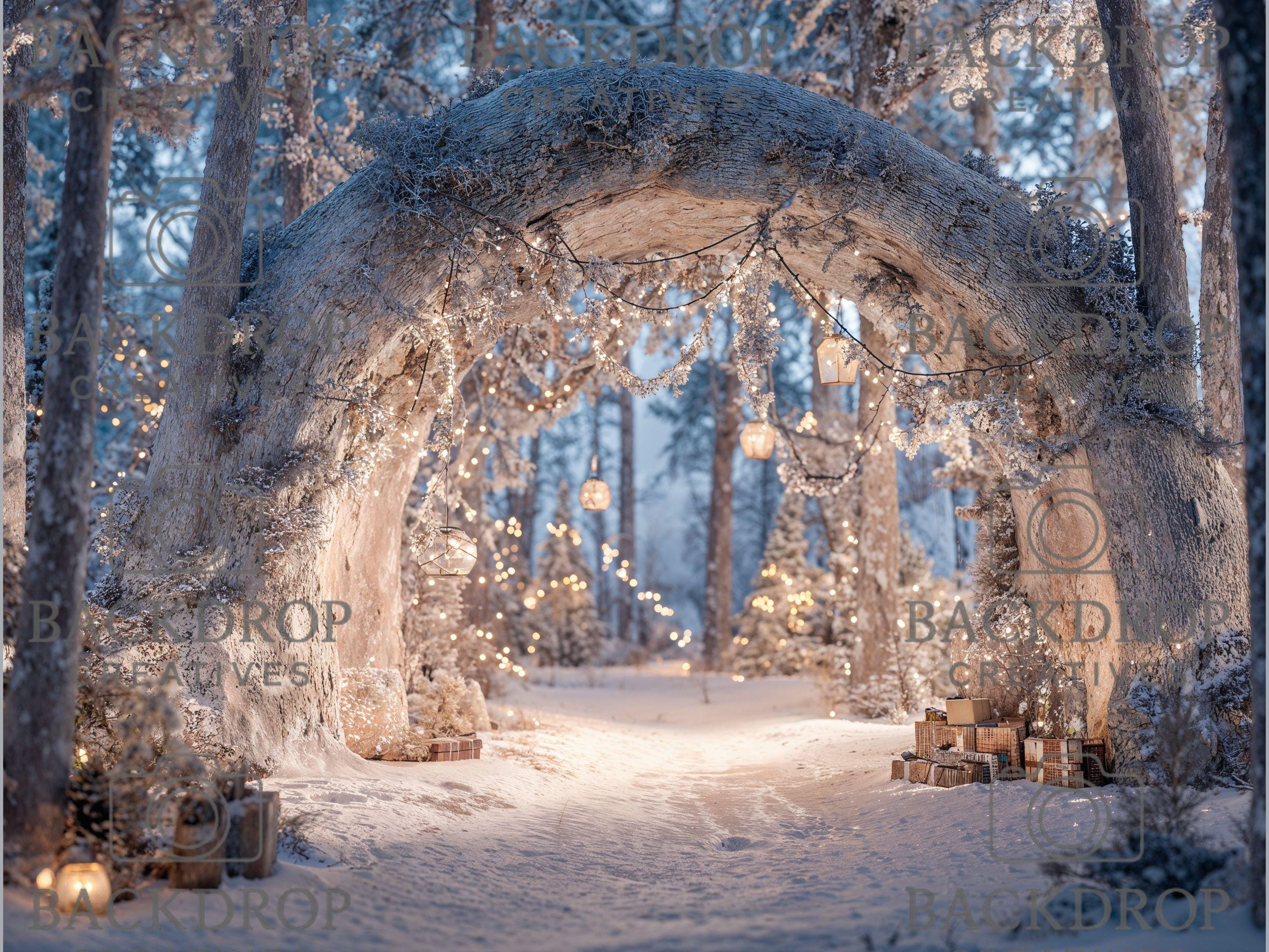 Realistic Snowy Winter Forest Set Digital Backdrops, Photoshop Background Bundle, Christmas Photo, Studio Overlays