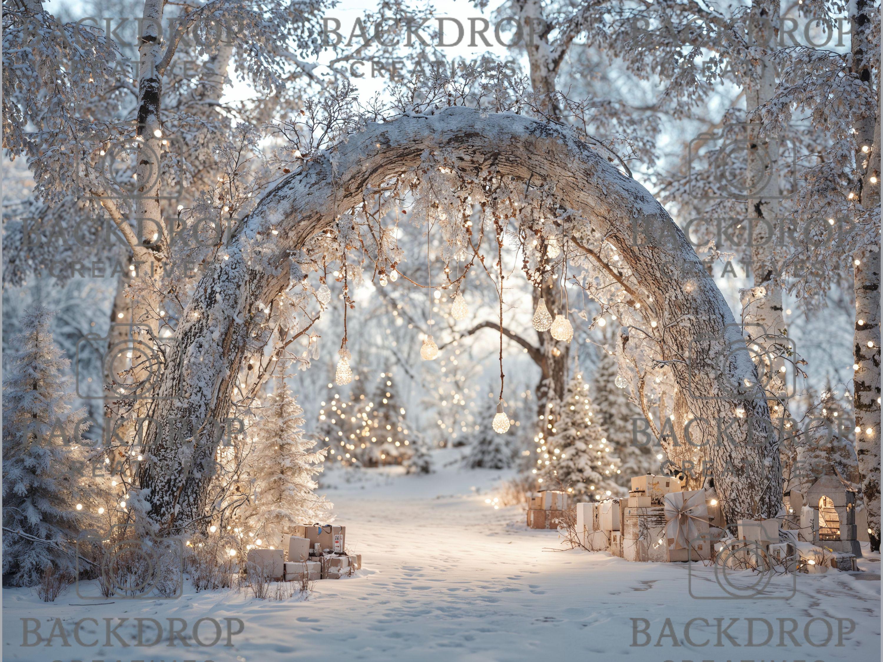 Realistic Snowy Winter Forest Set Digital Backdrops, Photoshop Background Bundle, Christmas Photo, Studio Overlays
