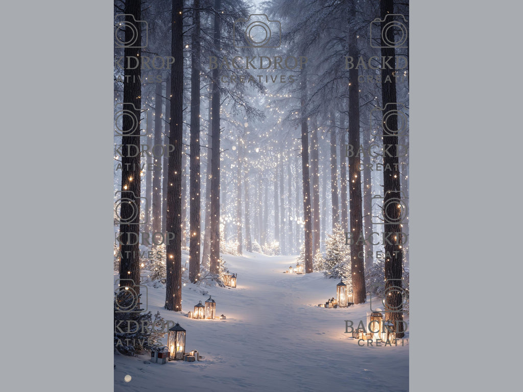 Snowy Winter Forest Set Digital Backdrops, Photoshop Background Bundle, Christmas Photo, Studio Overlays