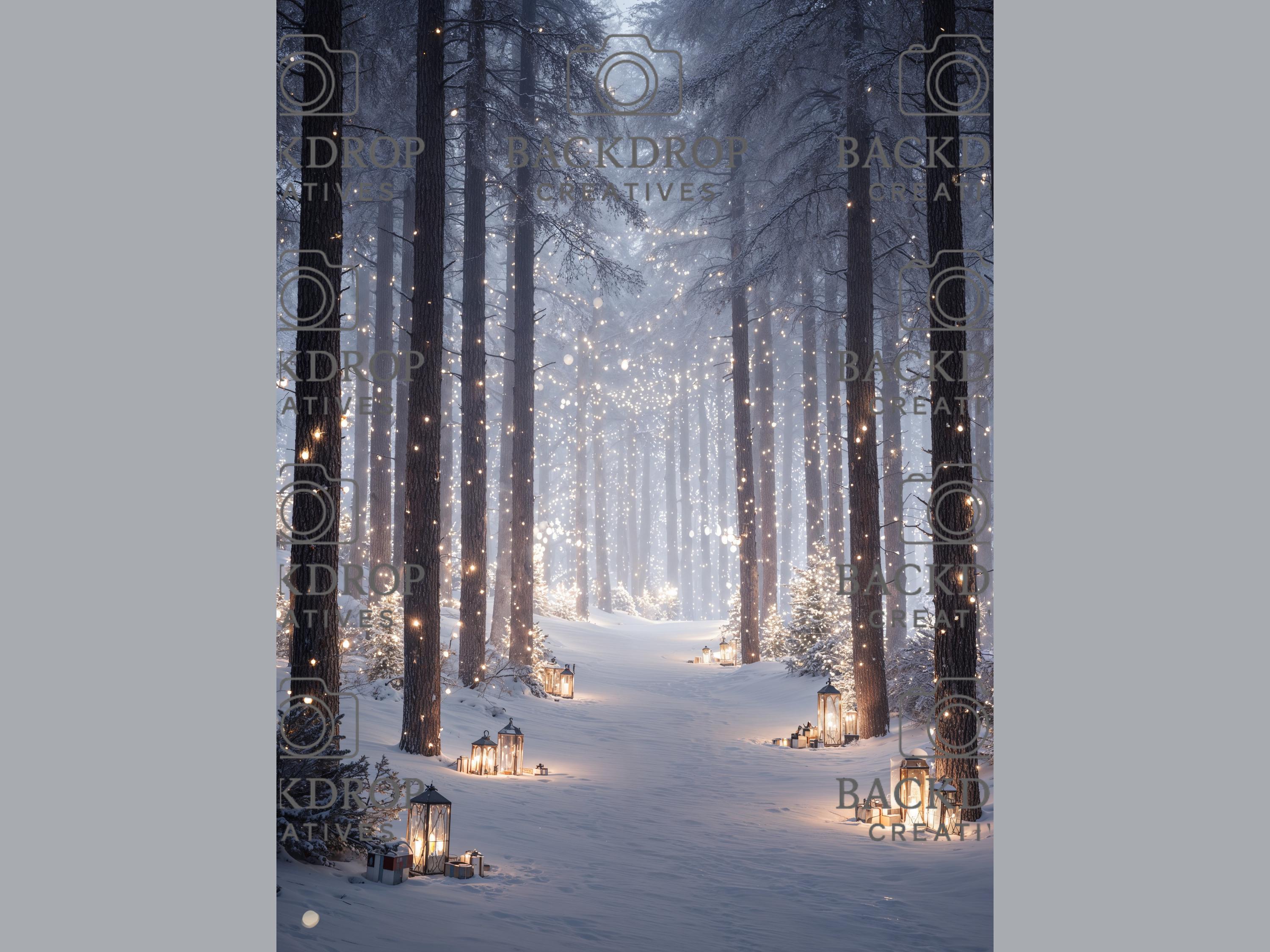Snowy Winter Forest Set Digital Backdrops, Photoshop Background Bundle, Christmas Photo, Studio Overlays