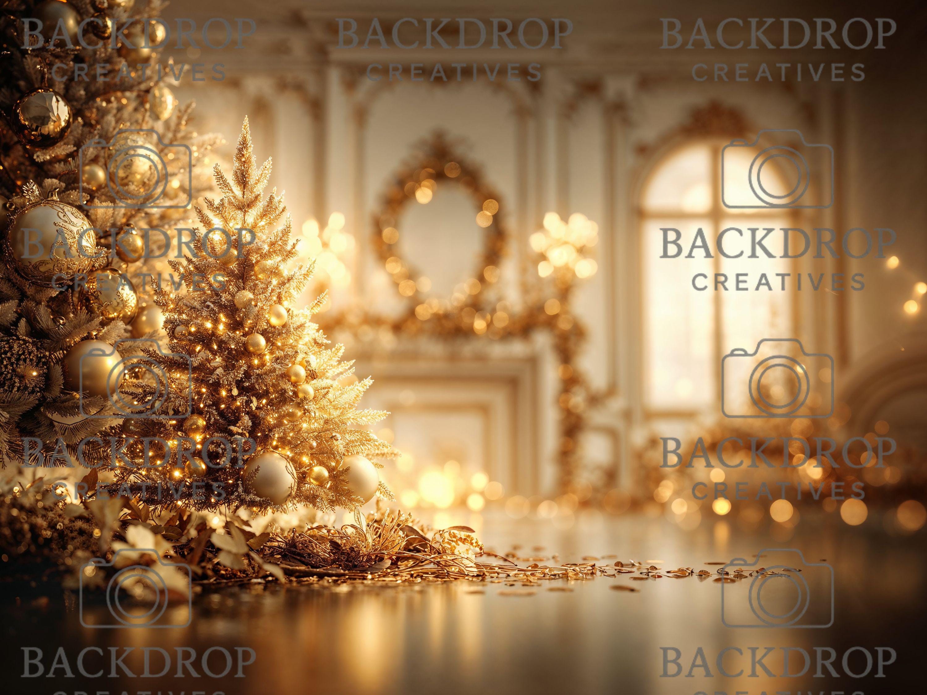 Gold Christmas Baby Toddler Set Digital Backdrops Bundle, Child Backdrops, Studio Overlays
