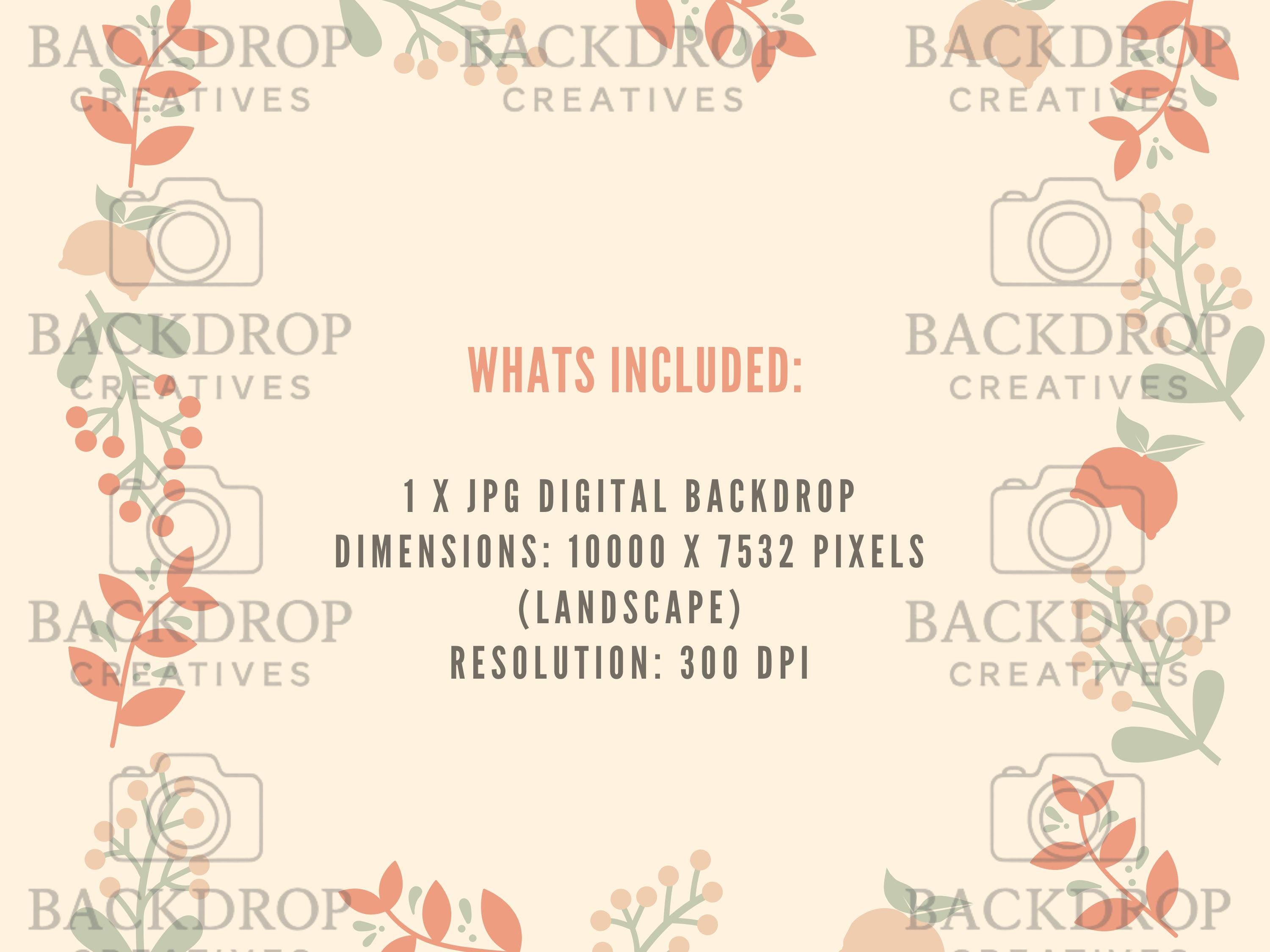 Boho Baby Basket Flower Digital Backdrop, Newborn Overlay Props, Newborn Backdrops, Photoshop Overlays, Floral Backgrounds