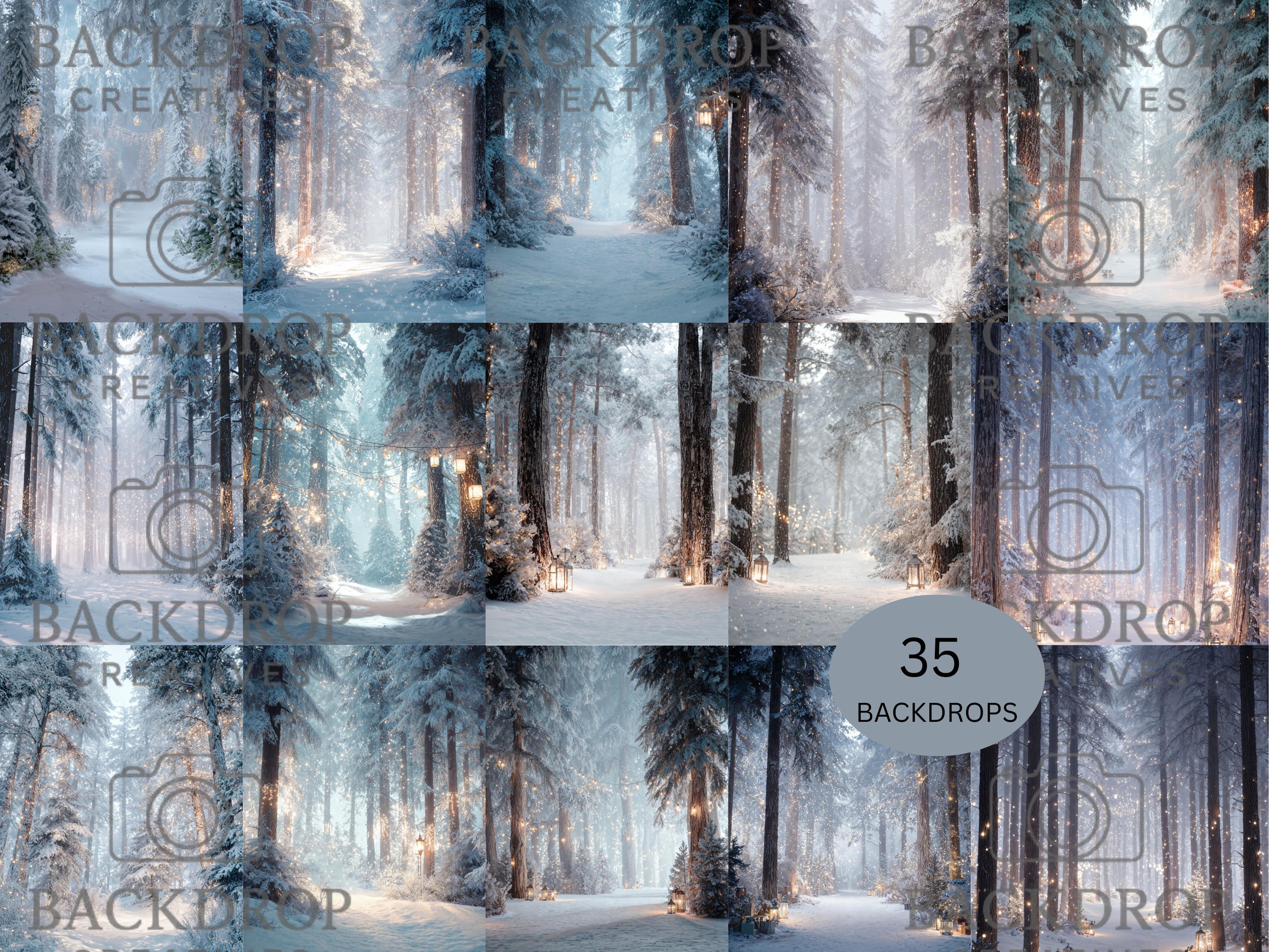 Snowy Winter Forest Set Digital Backdrops, Photoshop Background Bundle, Christmas Photo, Studio Overlays