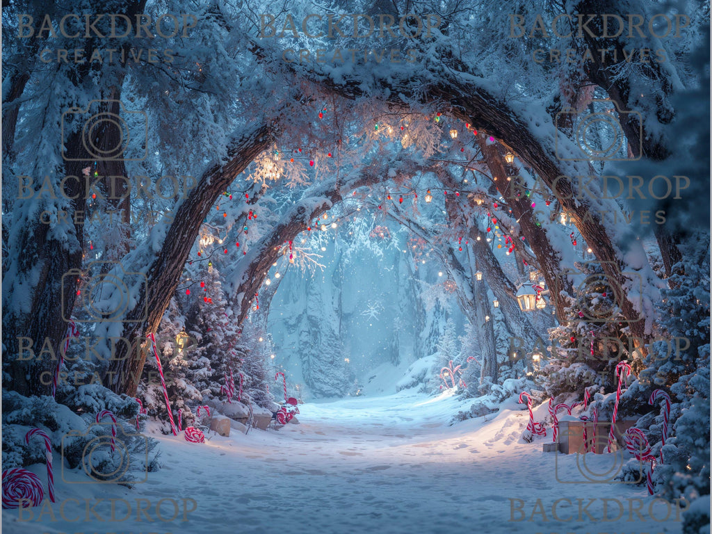 Realistic Snowy Winter Forest Set Digital Backdrops, Photoshop Background Bundle, Christmas Photo, Studio Overlays