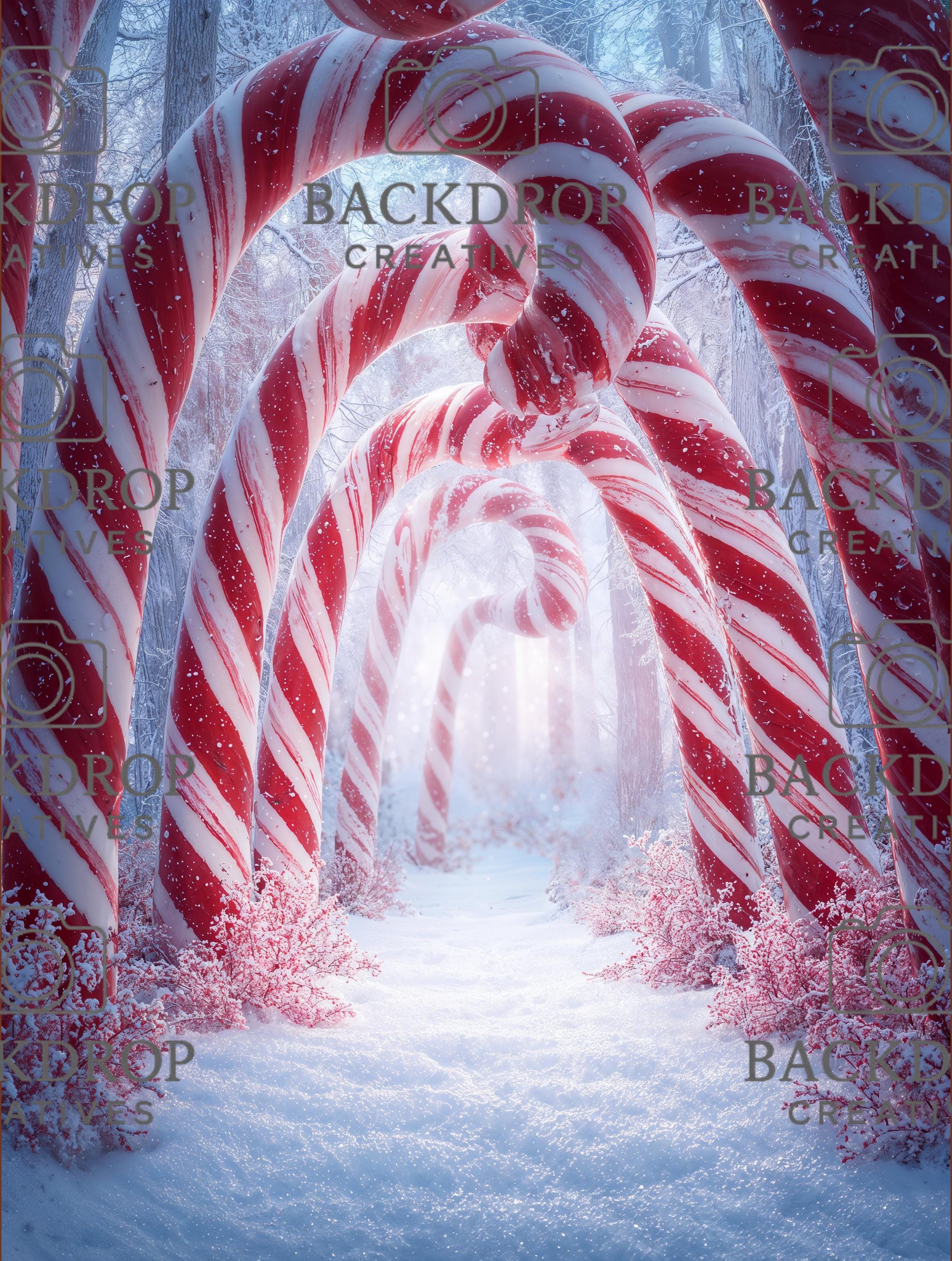 Snowy Winter Candy Arch Set Digital Backdrop, Photoshop Background Bundle, Christmas Photo, Studio Overlays