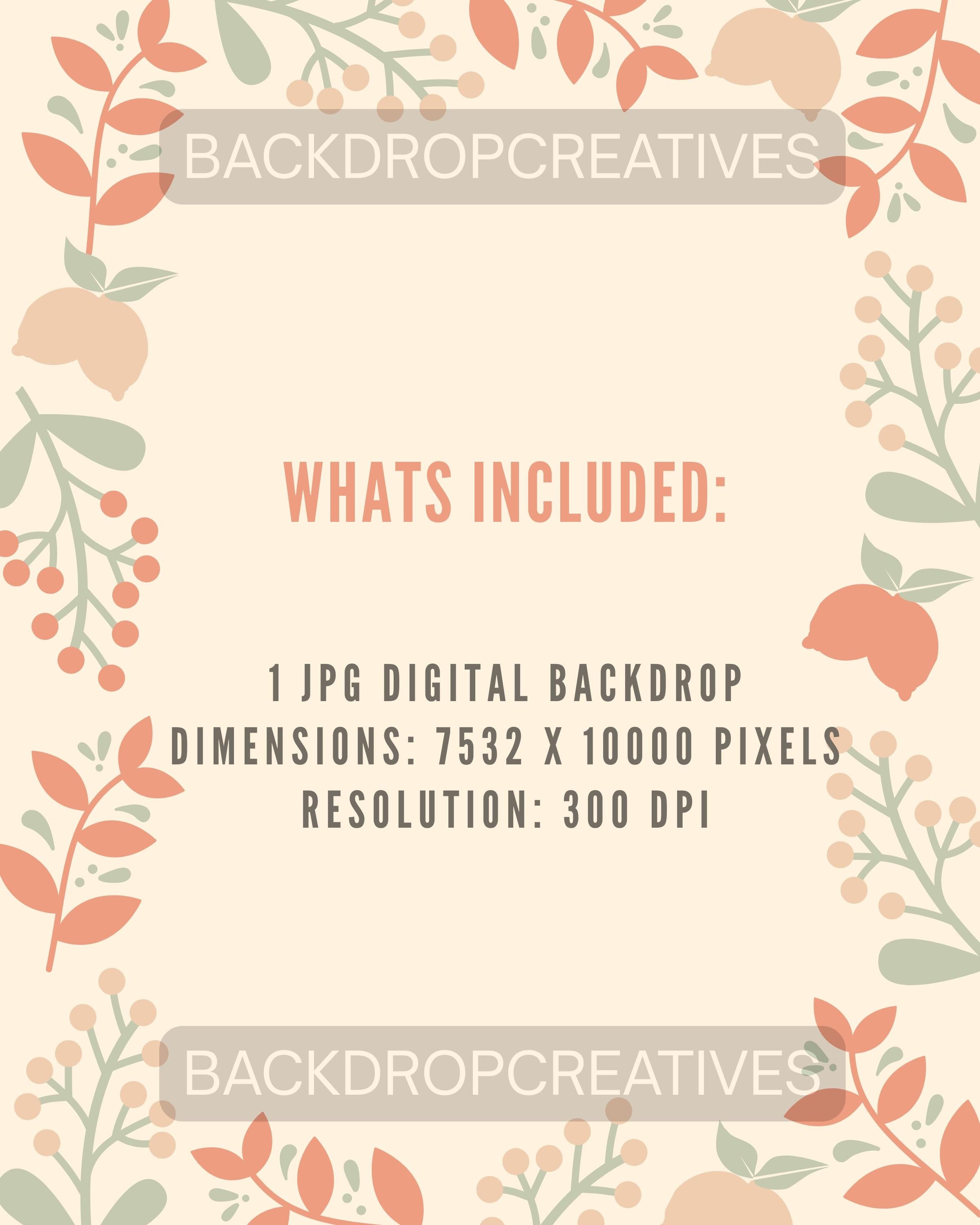 Winter Snowy Baby Backdrop